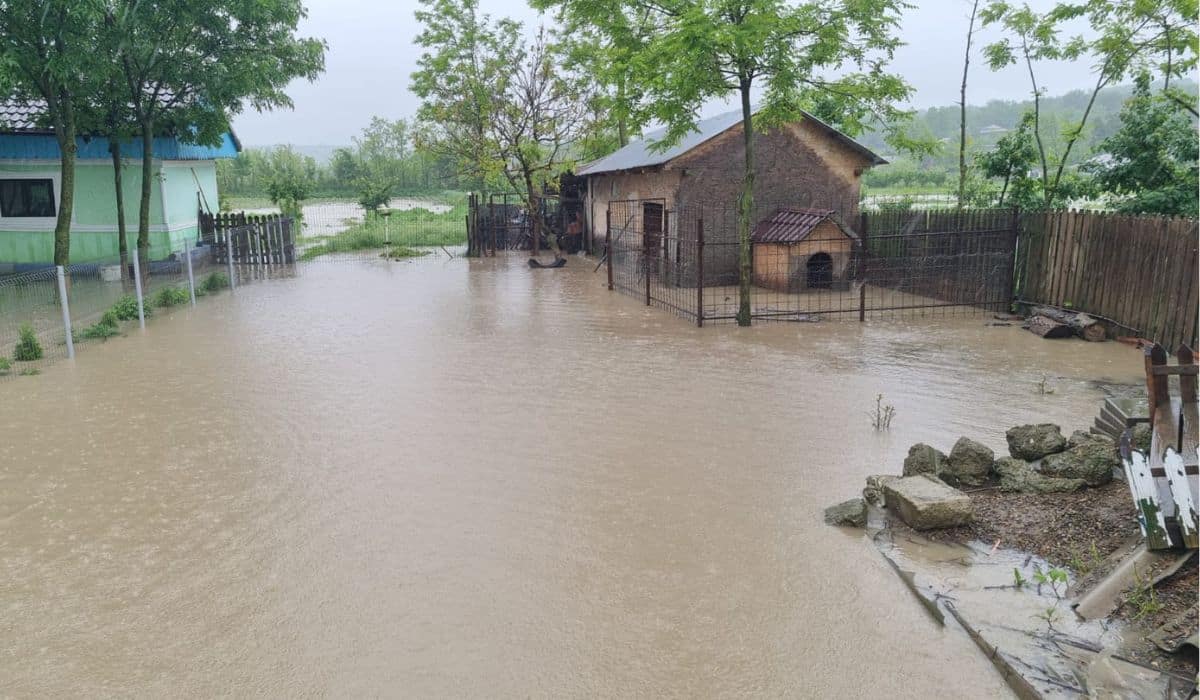 Cod galben de inundații în 15 județe, valabil până joi. Harghita și Covasna, zone de risc maxim
