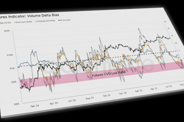 Bitcoin atinge din nou 115.000 de dolari: ce praguri se preconizează în continuare?