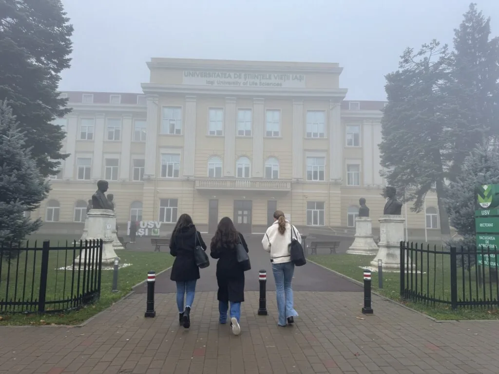 Țările cu cele mai exigente sisteme de învățământ din lume: Presiunea academică atinge niveluri alarmante