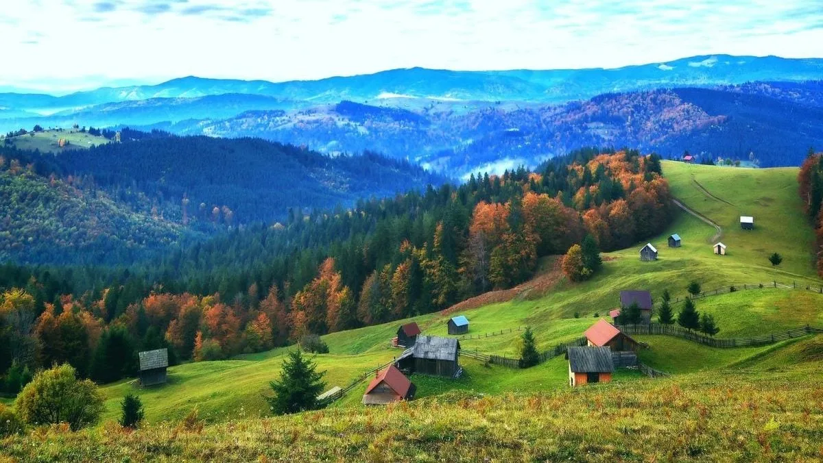 ȘTIRILE ZILEI