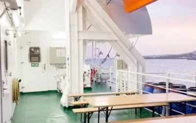Cosmar pe o nava de croaziera. Un virus mortal a ucis 3 pasageri blocati la bord