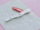 Gena Nfkb1 identificată de Universitatea Monash este legată de durata vieții reproductive feminine