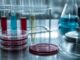 KCL-286 a trecut de Faza 1 și a arătat efecte pe modele animale de Alzheimer