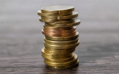 Arnia Software a crescut la 109,8 milioane de lei în 2025, dar profitul net a scăzut pentru al treilea an la rând