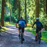Doi bicicliști, un bărbat și o femeie, mergând pe biciclete pe o potecă lată de pietriș printr-o pădure de conifere luminată de soare