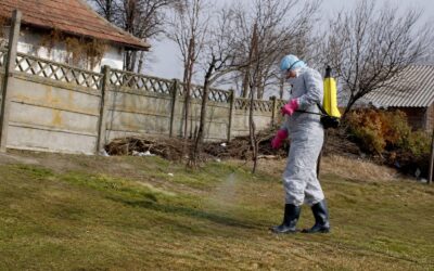 Trei noi cazuri de rabie au fost confirmate în Harghita. Laptele din focare nu poate fi consumat crud