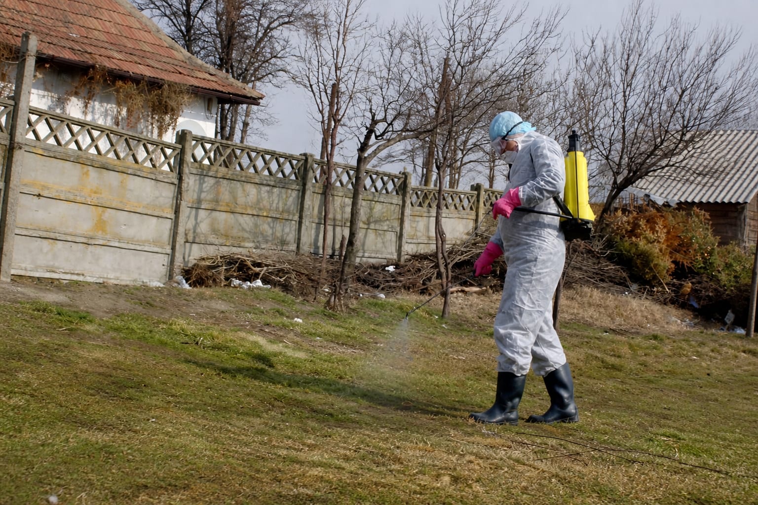 Dezinfecție împotriva rabiei în focar