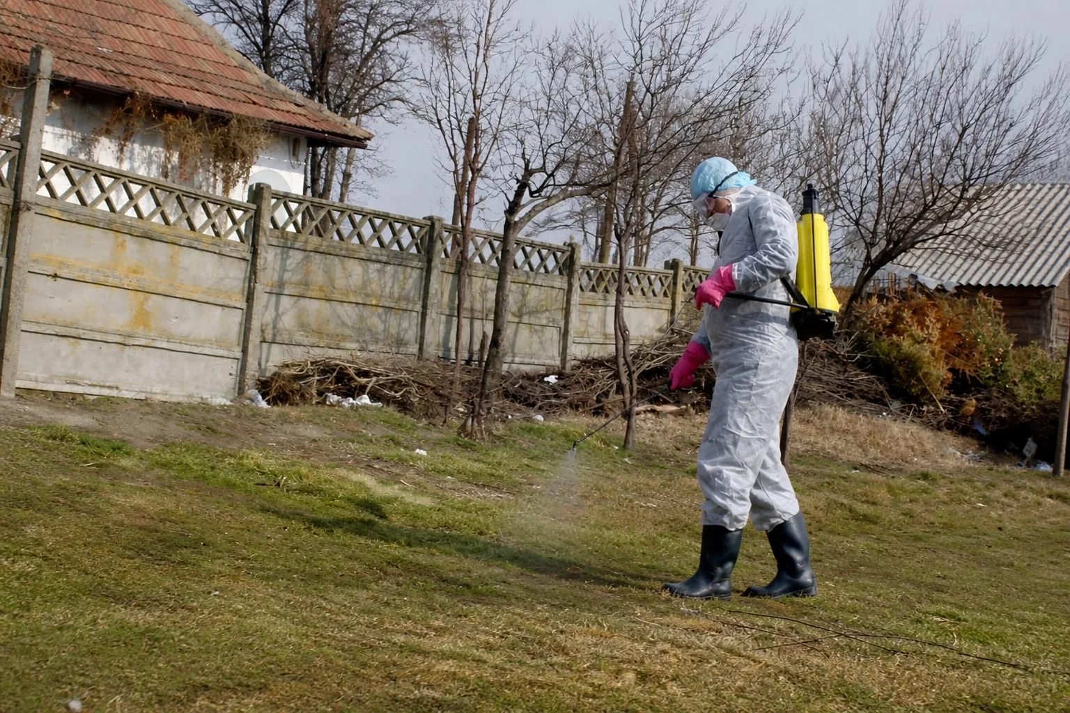 Dezinfecție împotriva rabiei în focar